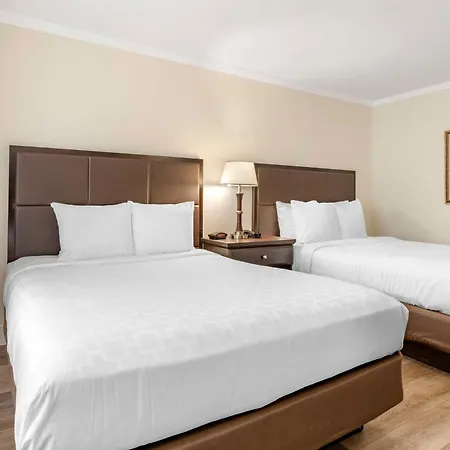 Best Western Carmel'S Town House Lodge-2