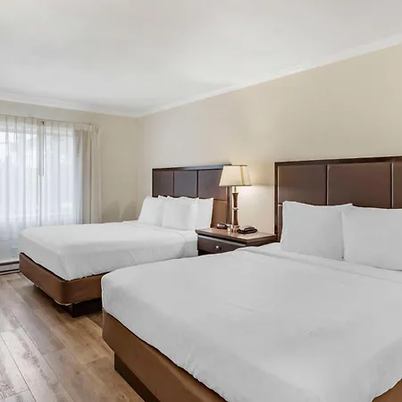 Best Western Carmel'S Town House Lodge-3
